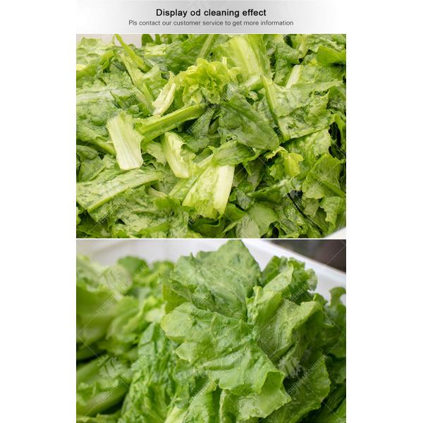 2.6KW Commercial vegetable washing machine Vegetable bubble cleaning machine vegetable cleaning equipment
