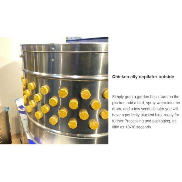Automatic Chicken Depilator Bird Plucking Machine