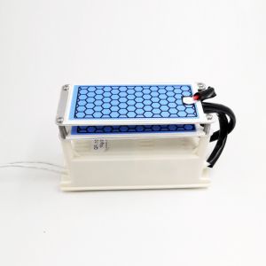 1​10g/h Ozone Generator with Ozone Power Supply Power Cord and Fan