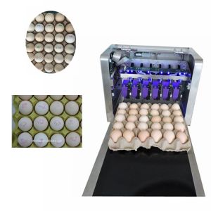 Poultry Husbandry Egg Printing Machine With Automatically Identified Function