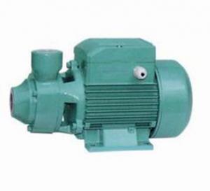  Brass Impeller Domestic Water Booster Pump , 1.5HP Irrigation Water Pump Manufactures