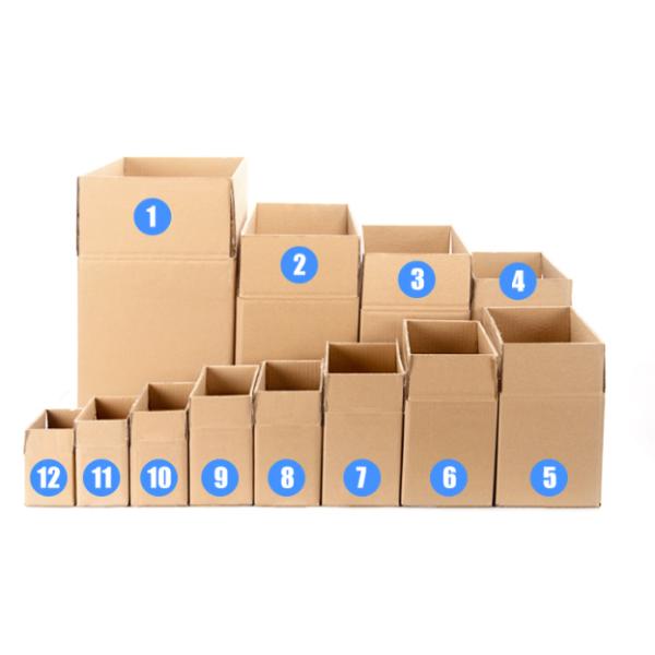 250pcs Multicolor Plc Printer Slotter Die Cutter
