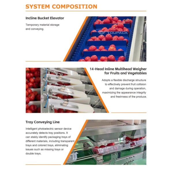 Linear Weigher Automatic Cherry Tomato Fruit Vegetable Tray Sealing Packaging Line With High Precision Weighing System
