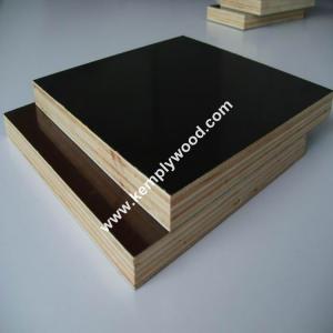  12mm/15mm/18mm Printed Logo Film Faced Plywood one time hot pressed shuttering plywood Manufactures