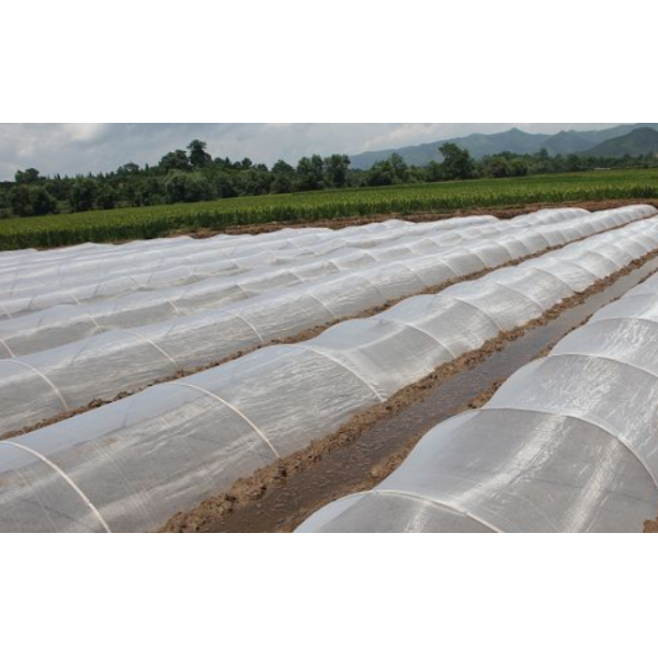 Long Service Insect Screen Countable For Different Crop Protection