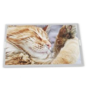 LM238WR2-SPE1 23.8 TFT LCD Display Modules Quality supplier supplier lcd panel