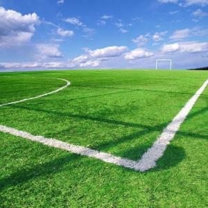  Football Field Synthetic Artificial Grass Anti UV For Landscaping Decoration OEM ODM Manufactures