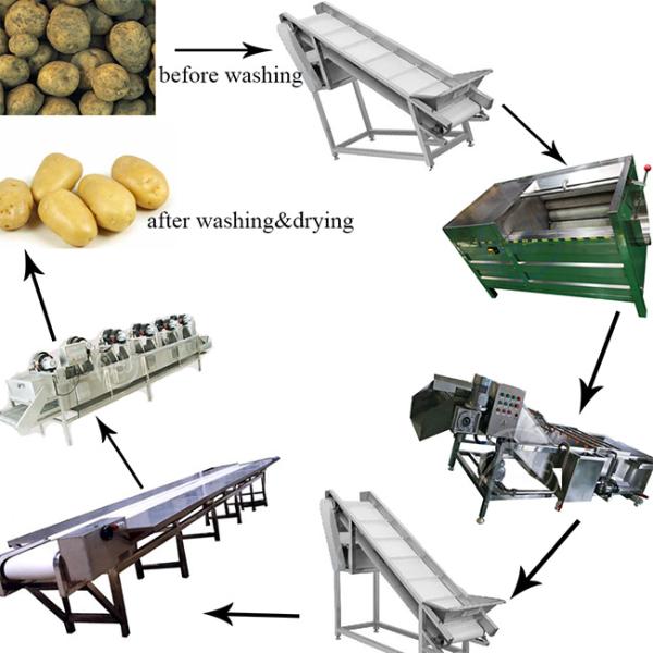 500kg / H AutomaticFruit And Vegetable Processing Line Fruit And Vegetable Cleaning Machine