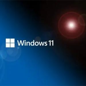 China Computer Software Windows 11 Pro Workstation Key Online Download Lifetime Activation on sale