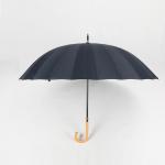  Black Compact Windproof Umbrella , Lady Fashion Extra Large Rain Umbrella Manufactures