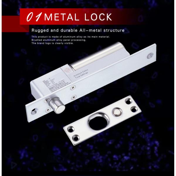 Ultra Low Temperature Bidirectional Door Electric Bolt Lock