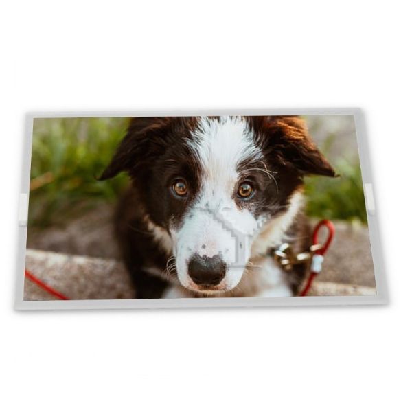 TV080WXB-NS0 8inch TFT LCD Display Modules supplier lcd panel Rectangular screen