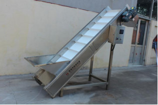 Automatic fresh ginger cutter ginger slice cutting machine