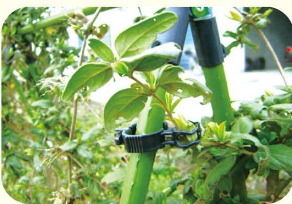 Multifunctional Plastic Garden Plant Accessories Net Clip For Tree / Branch Connection