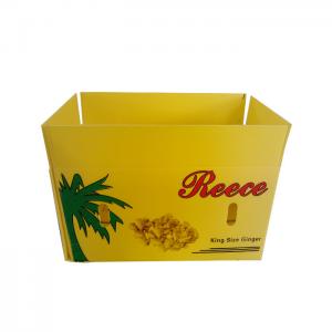  Corrugated Plastic Storage Box OEM / ODM Accepted Manufactures