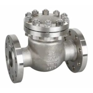 Newest Design Metal Swing Check Valves and Fitting with After-sales Service