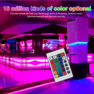 Dc Input Port Rgb Led Controller Controlled By 24Key Remote Control Unit