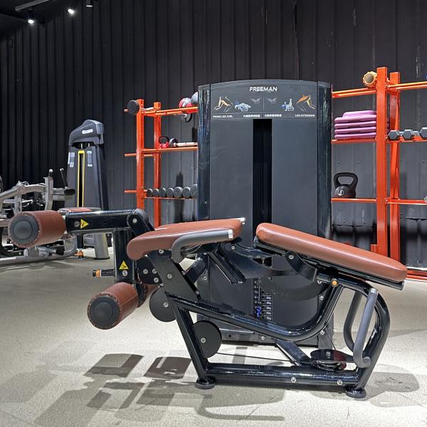 Quality High-end Leg Extension and Prone Leg Curl Dual Function Pin Loaded for Gym Use for sale