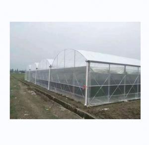 China 150/200 Micron Plastic Film Multi Span Greenhouse For Vegetable And Flower Growing on sale