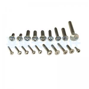  Stainless Steel Anti Theft Screws For Licence Plate Theft Proof Anti Theft Fasteners Manufactures