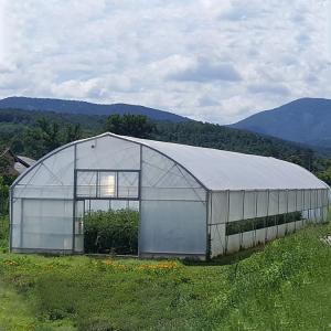 China Agriculture High Tunnel Film Roller Clear Greenhouse Cover Plastic Film Single Tunnel Greenhouse on sale