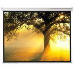 1:1 60"Motorized Projector Screen With Remote Control,Matte White Fabric Screen