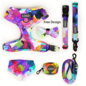 Custom Print Pattern Designer Soft Padded Dog Harness Set with Adjustable Vest
