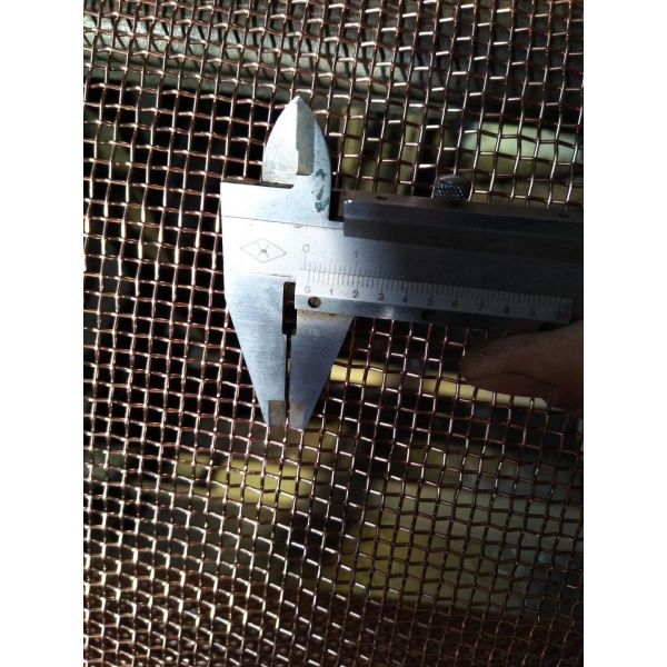  electro galvanized plain weave 8mesh 10 mesh square wire mesh Manufactures