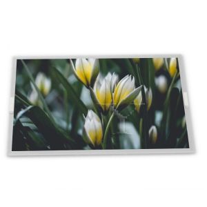  3.5-Inch WLED TFT LCD Display Module TD035STEE1 480*640 Resolution Specific Application ODM Suppliers High Quality LCD Modules Manufactures