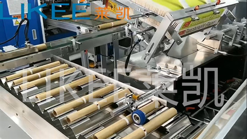 LK-C500 Automatic Cartoning Machine side view