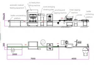  Automatic Bottle Filling And Capping Machine Production Line ZHG-50 Stable Manufactures