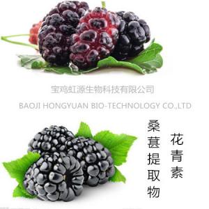  100% pure natural Mulberry Fruit Extract/ Mulberry Extract powder Manufactures