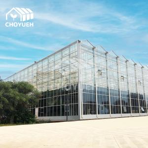China Venlo Glass Polycarbonate Greenhouse With Seedbed Hydroponic For Tomato Strawberry on sale