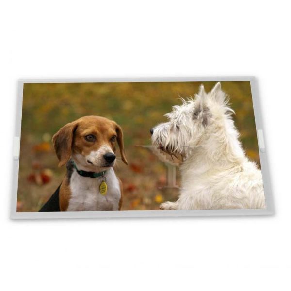 Quality M238HAN03.6 CELL 23.8 inch a-Si TFT-LCD Rectangular Screen Lcd Panel Elevator Display for sale