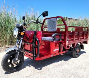China Electric Powered Cargo Truck 1000 Watt Motorized Moped 3 Wheel Bicycle Scooter on sale