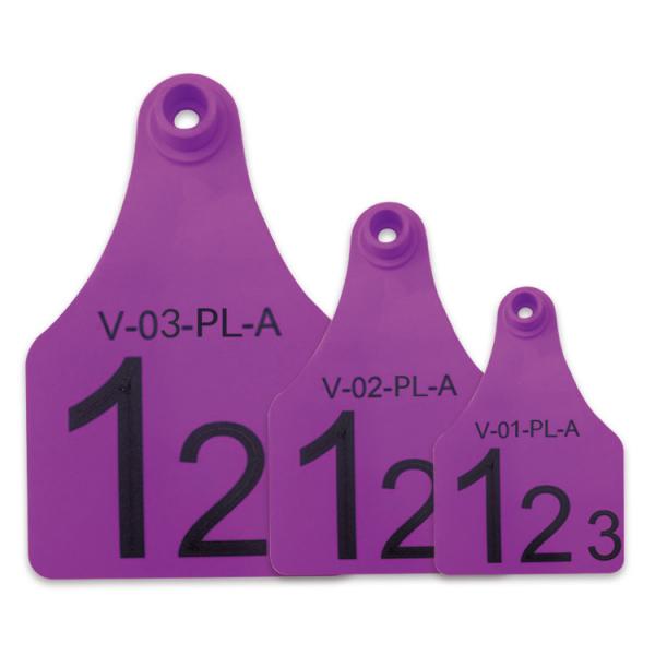 Quality Purple Re - use Male Electronic Ear Tags For Divisional Management Of Animals for sale