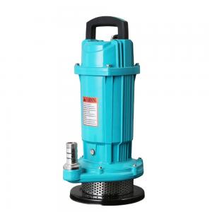 China 25mm garden submersible water pump For farm irrigation 220V 50Hz on sale