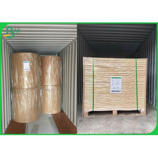 300gr 350gr 400gr Grease proof Double Side Polyester Paper Roll For Lunch Box 