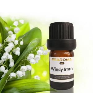  Ilan Aroma Diffuser Essential Oil Sustainable Car Air Freshener Fragrance 500ml Manufactures