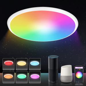  24w Tuya Smart Ceiling Light Colorful Rgb Remote Control Smart Light Led Modern Style Music Ceiling Lamb Manufactures