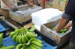 Plastic Stackable Vegetable Crates Heavy Duty Collapsible Plastic Crate PP