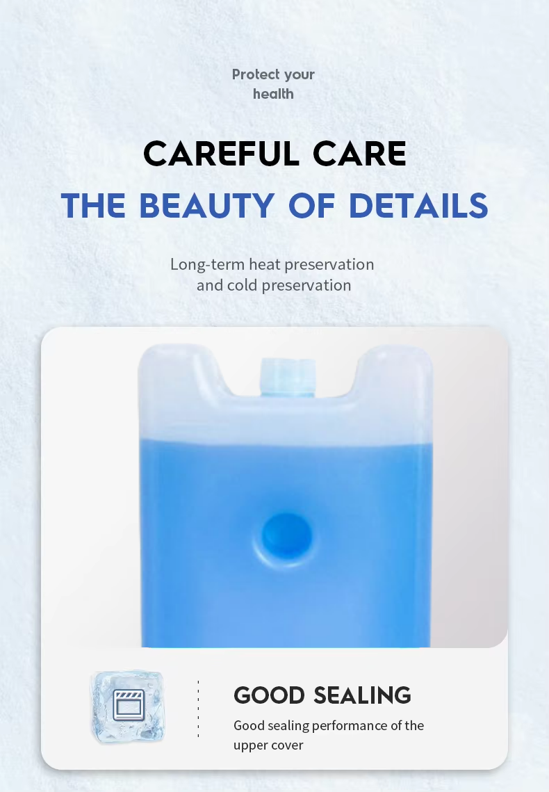 Customize Mold Support PCM Ice Pack with Various Sizes and -15 to -25C