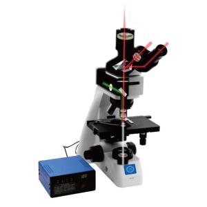 Upright Biological Microscope B70 with Objective Turntable