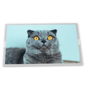  DMF-50081ZNB-FW LCD 4.7-Inch WLED LCD Display Module with 320*240 Resolution LCD Modules Manufactures