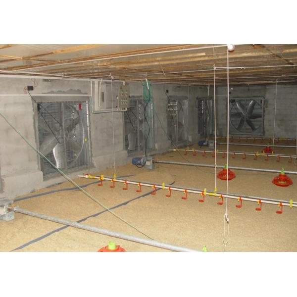 Poultry equipment Ventilation Fan