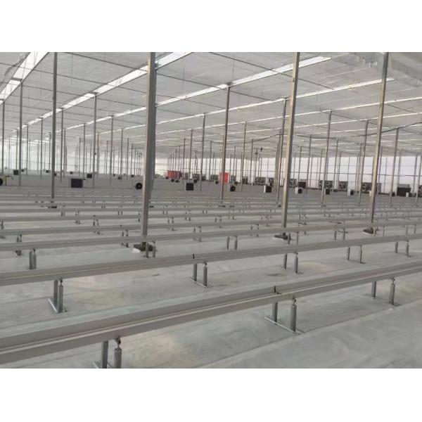 Simple Structure Commercial Hydroponic Greenhouse Gutter Height 2-6m CE Approved