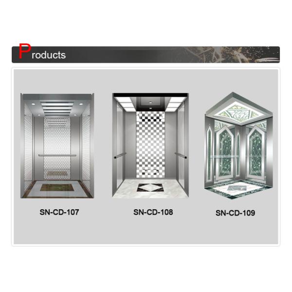 SN - CD - 101 Elevator Cabin Decoration Mirror St .St Vault Panel