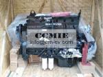 Original Diesel Cummins Engine Parts 4BT3.9 6BT5.9 6CT8.3 6LT8.9 NT855 KT19 KT38
