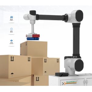  Advanced Automated Palletizing Solutions for Manufacturing Maximum Stacking Height 2500mm Manufactures