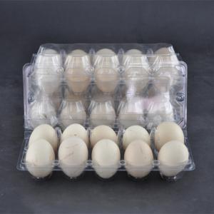  10 Cavities Clear Plastic Egg Cartons PET Disposable Egg Plastic Box Clear Manufactures